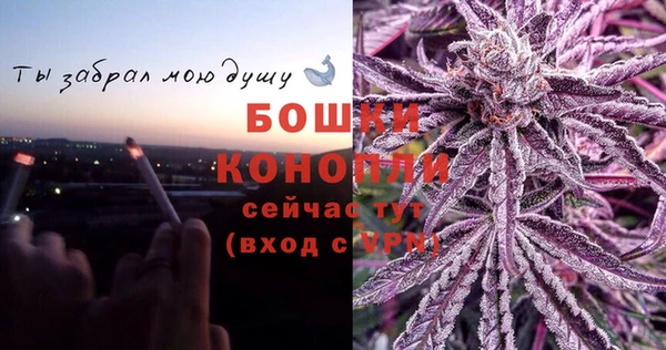 сатива Балахна