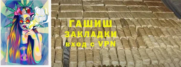 гидра Богородицк