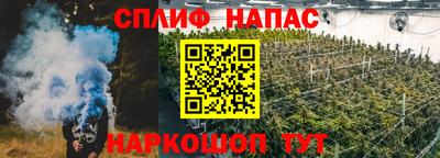 сатива Кингисепп