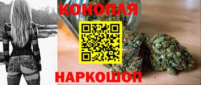 сатива Кингисепп
