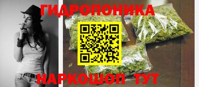 сатива Кингисепп