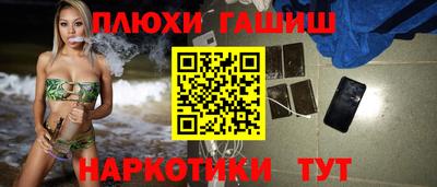сатива Кингисепп