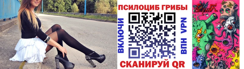 магазин продажи наркотиков  Прокопьевск  Галлюциногенные грибы Magic Shrooms 