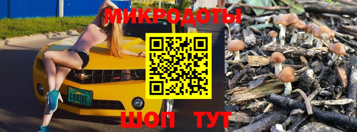 Псилоцибиновые грибы MAGIC MUSHROOMS  Вход с VPN  сколько стоит  Прокопьевск 